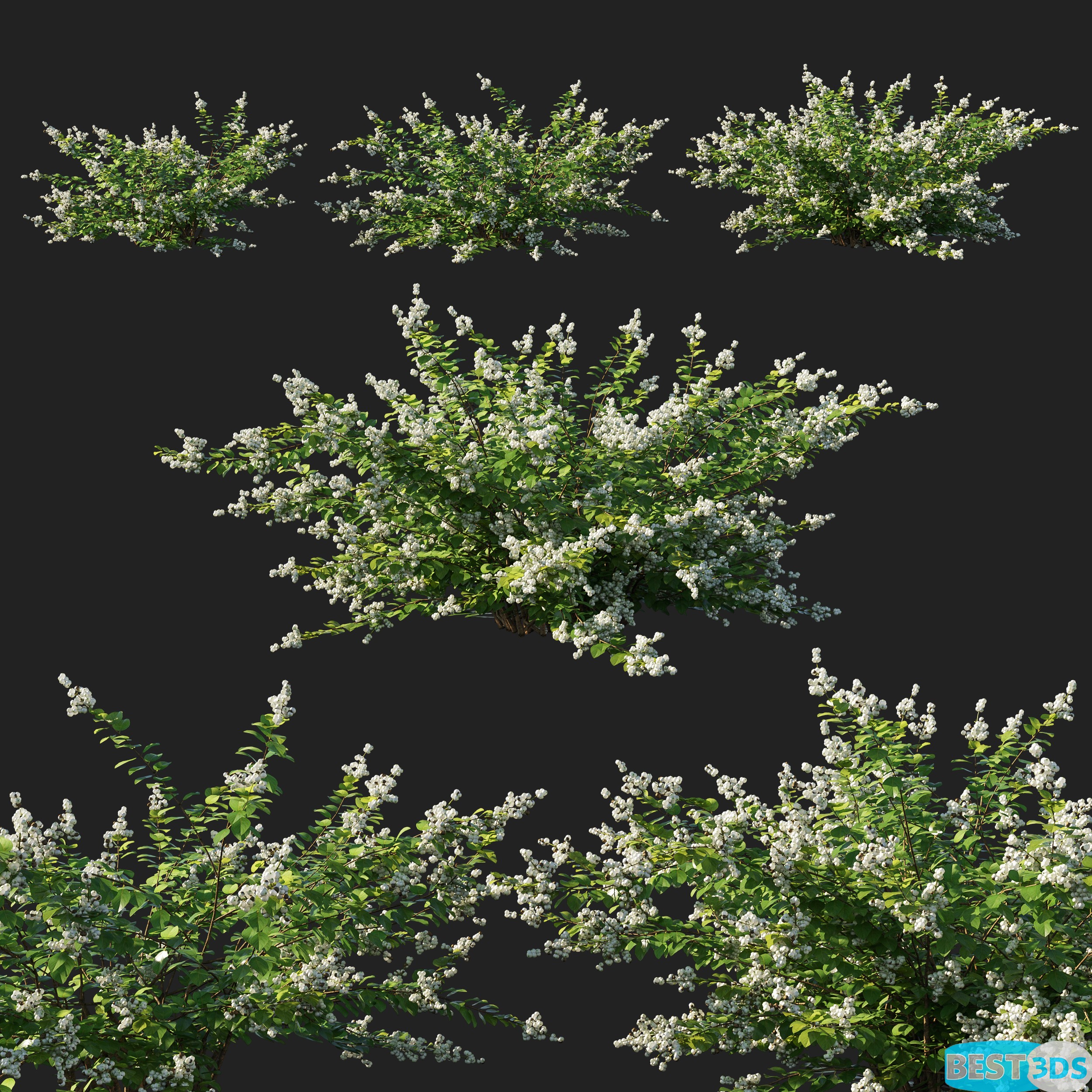 Pack model 3D- Buisson – Image 12