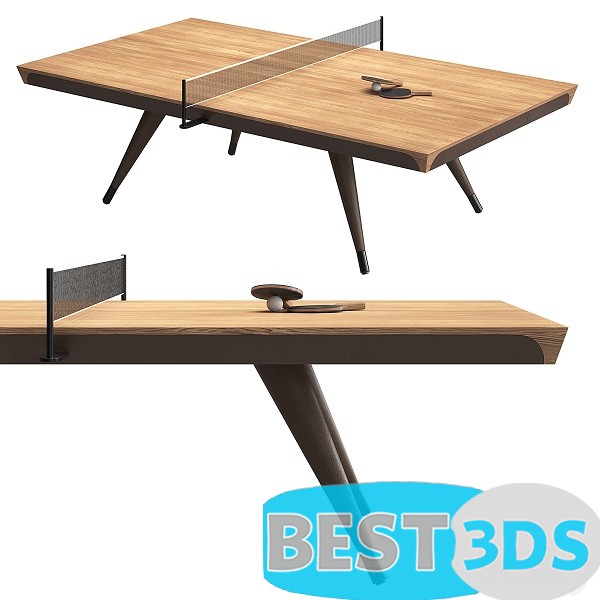 Table de tennis BLADE