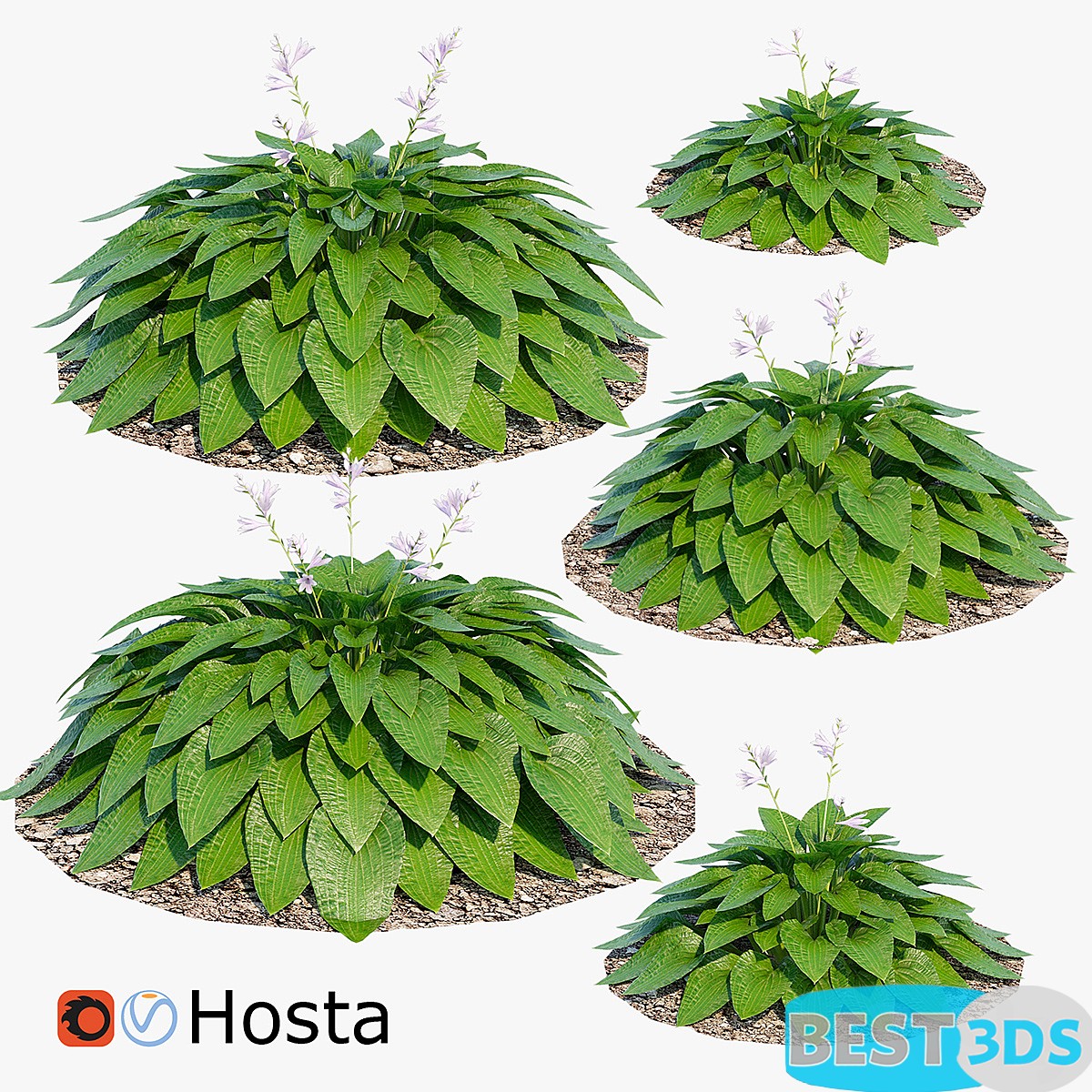 Pack model 3D- Buisson – Image 9