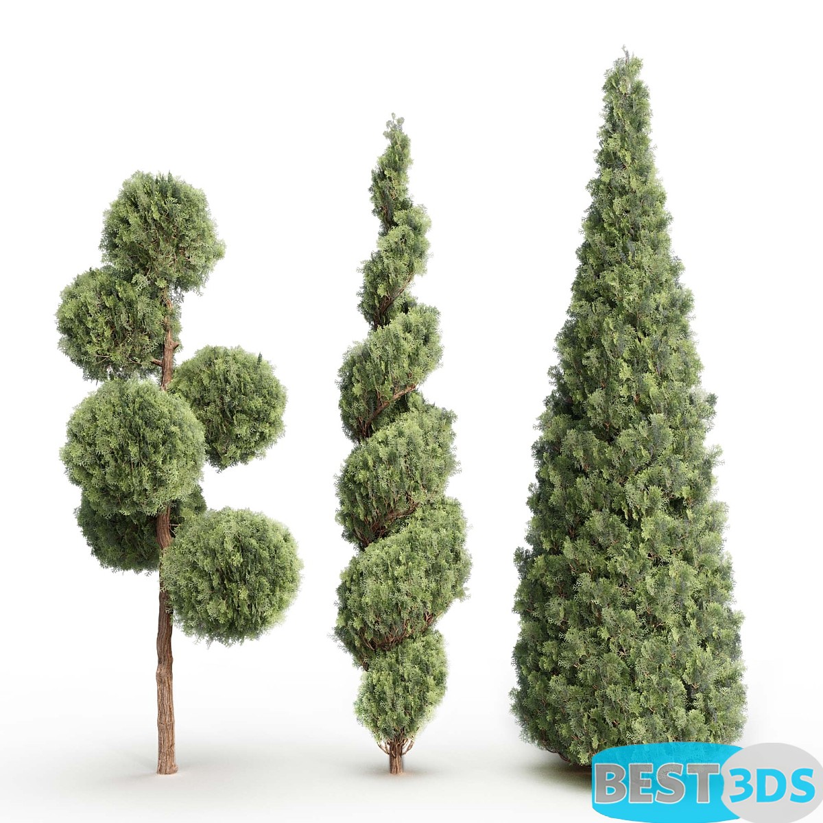 Pack model 3D- Buisson – Image 8