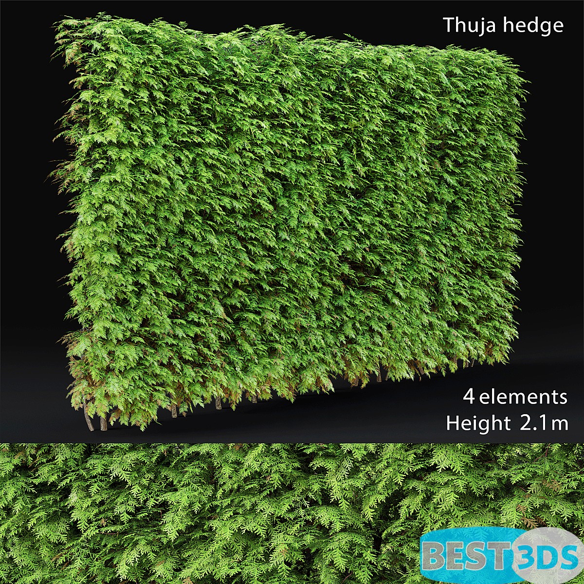 Pack model 3D- Végétations Murale – Image 30