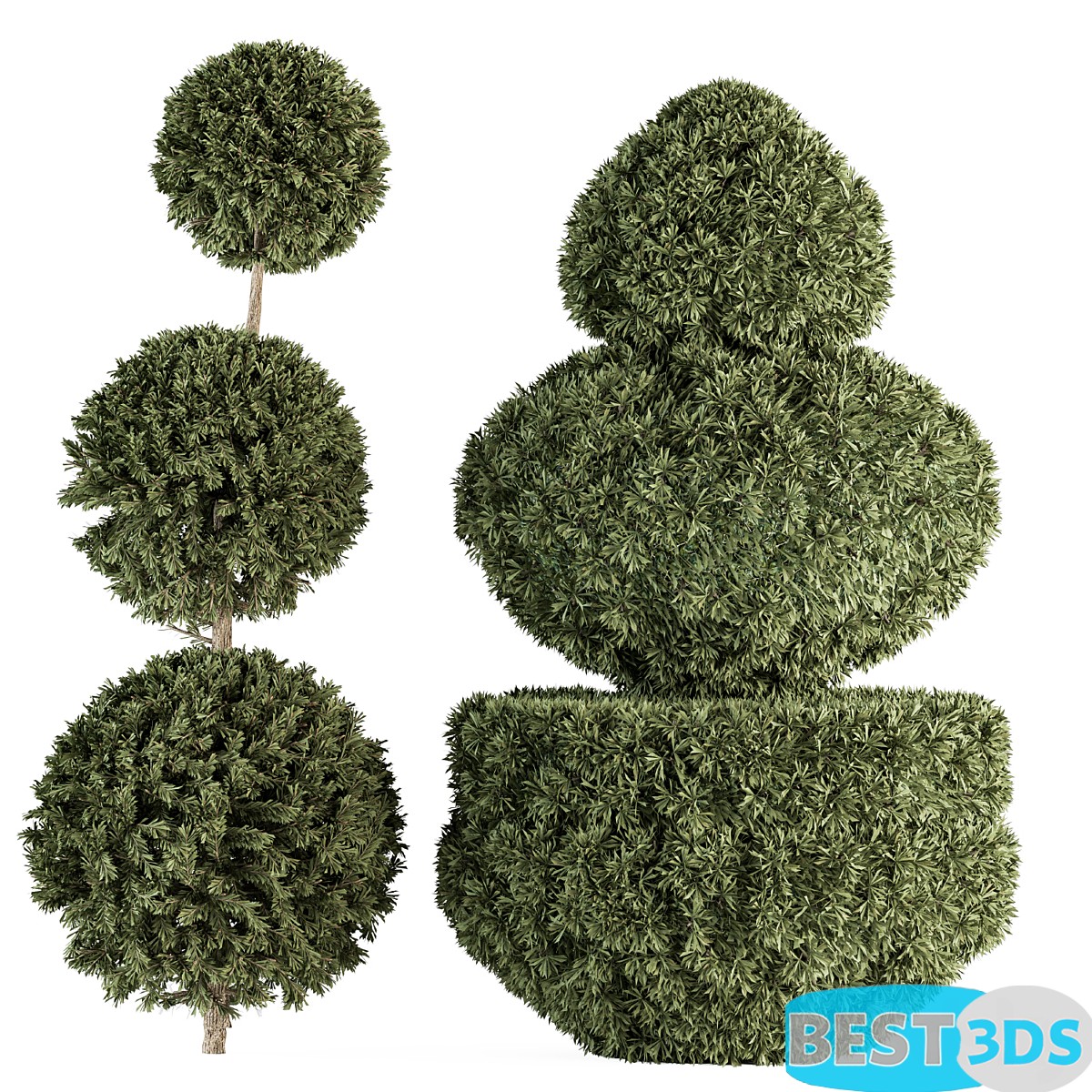 Pack model 3D- Buisson – Image 6
