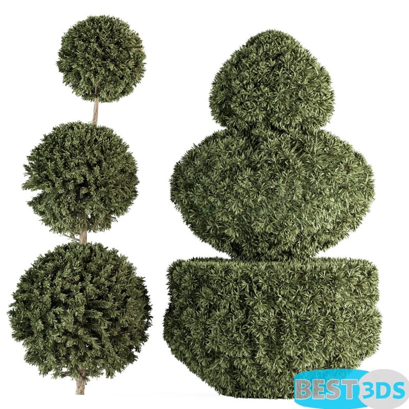 Modèle 3D de Buissons topiaires