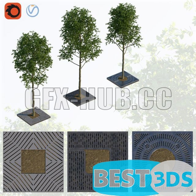 Arbres avec treillis