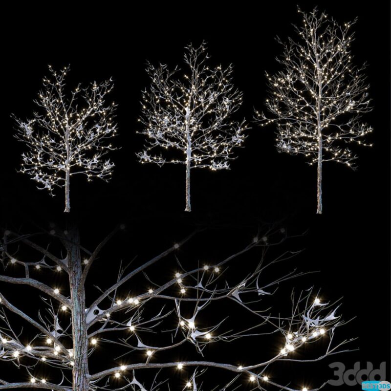 Arbres enneigés avec guirlande lumineuse