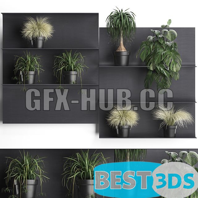 Modèle 3D de Vertical Gardening with Monstera and Nolina