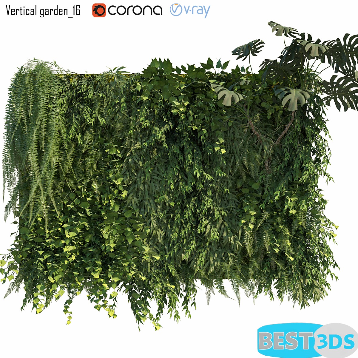Pack model 3D- Végétations Murale – Image 24