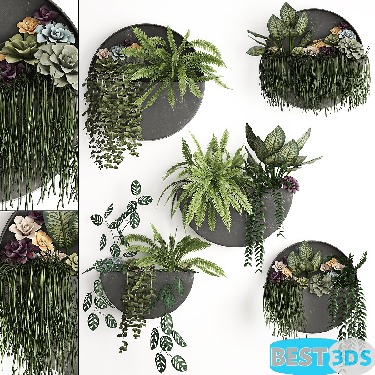 Pack model 3D- Végétations Murale – Image 10