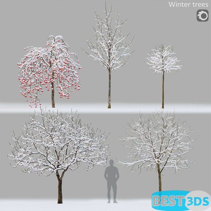 Arbres d’hiver 1