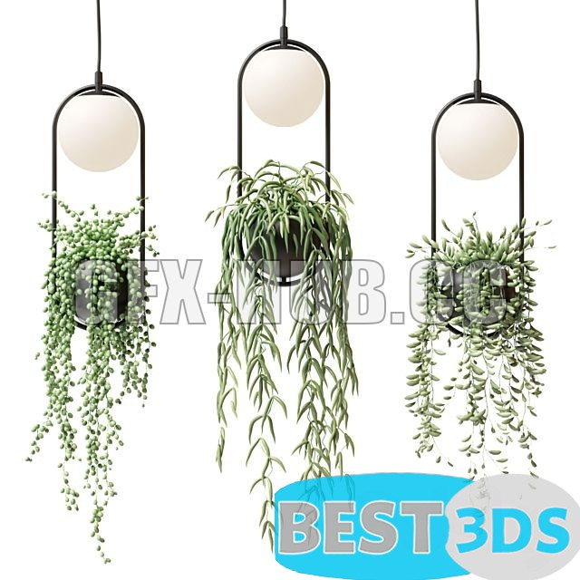 Modèle 3D de Wren Sky Garden Planter Light