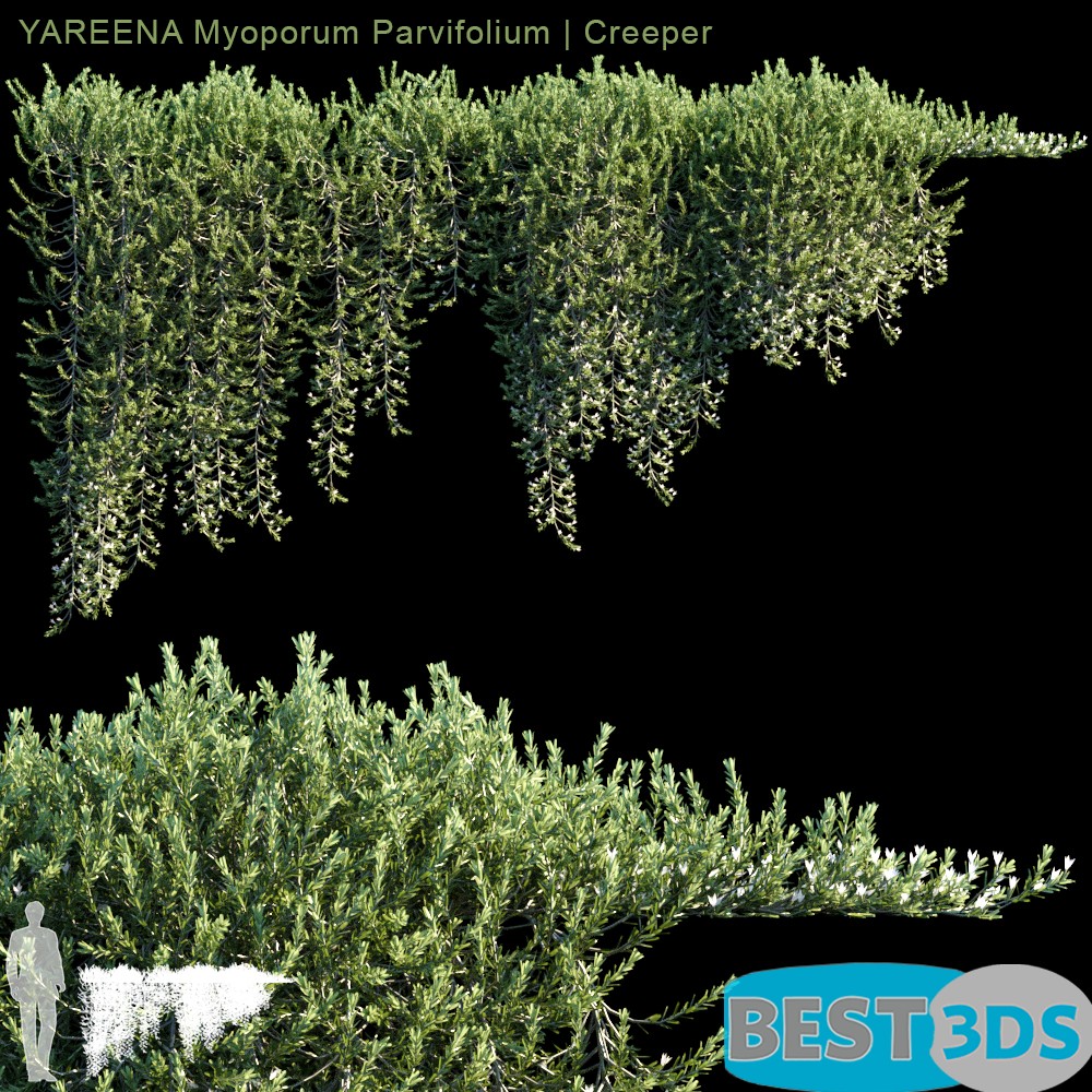 Pack model 3D- Végétations Murale – Image 2
