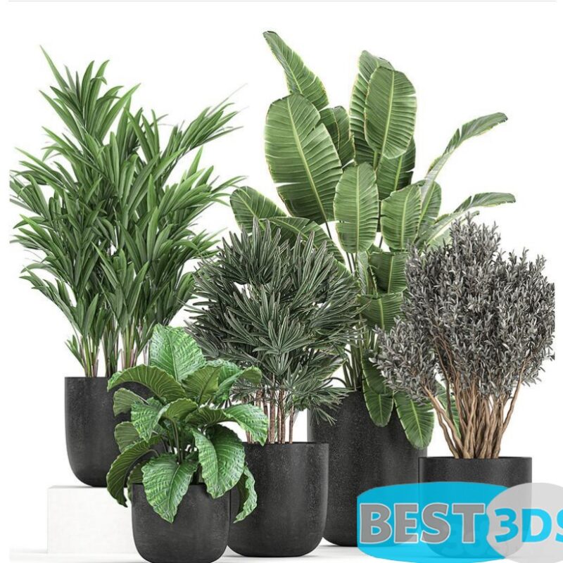 Modèle 3D de A collection of small plants and bushes Set 813