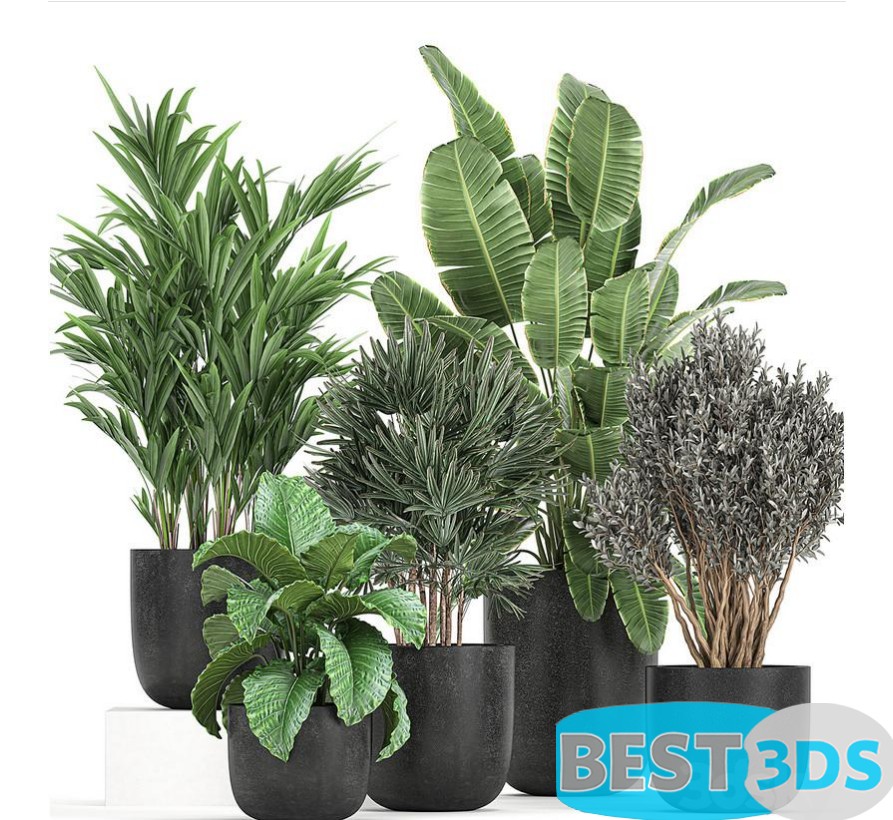 Modèle 3D de A collection of small plants and bushes Set 813