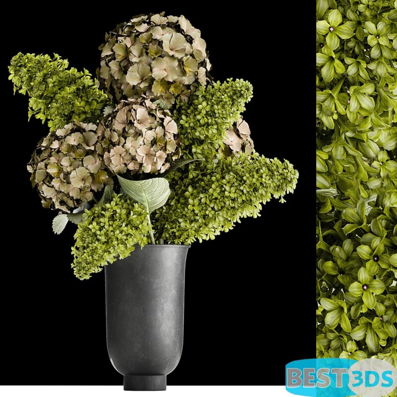 Modèle 3D de Beautiful modern bouquet of green flowers in a black MENU CYC…