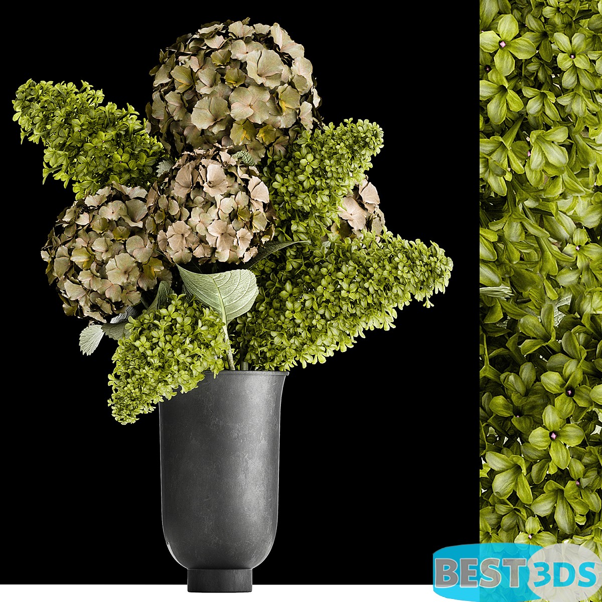 Modèle 3D de Beautiful modern bouquet of green flowers in a black MENU CYC…