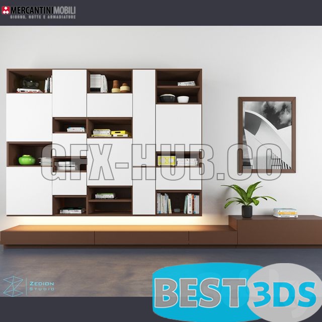 Bibliothèque décorative-001
