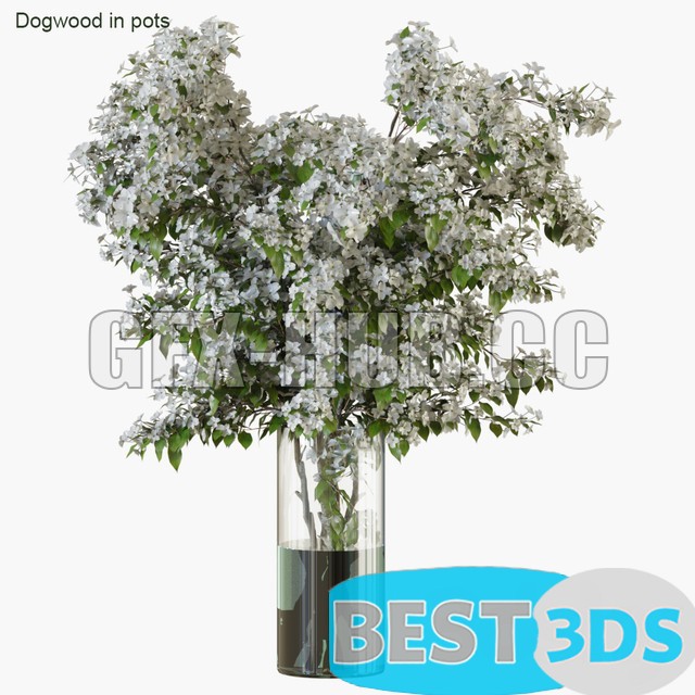 Pack model 3D- Vase – Image 114
