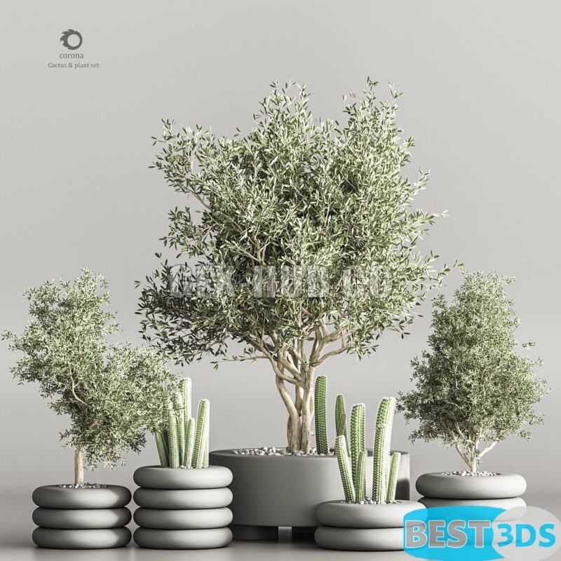 Modèle 3D de Cactus & plant vol 06 0