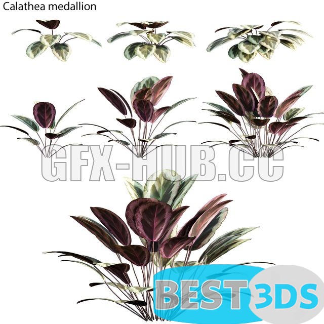 Pack model 3D- Vase – Image 104