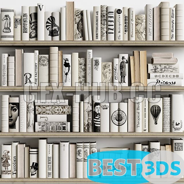 Bibliothèque décorative-17