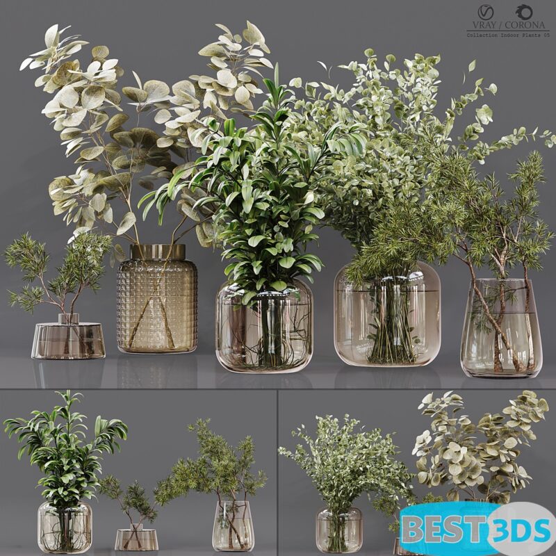 Modèle 3D de Collection Indoor Plants 05