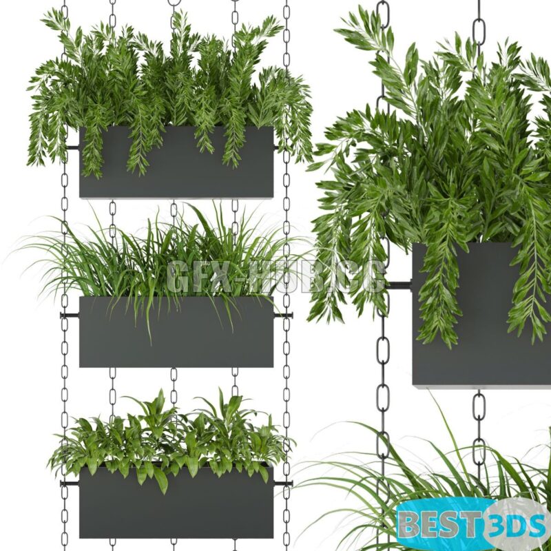 Modèle 3D de Collection Plant Vol 85
