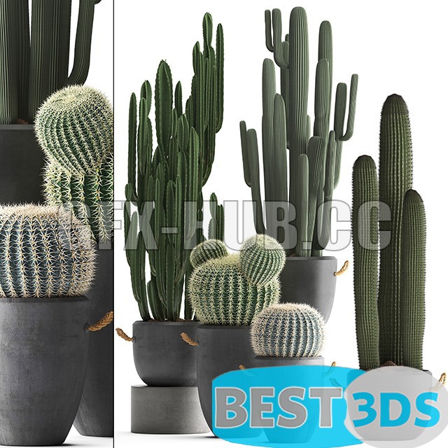 Modèle 3D de Collection of plants 411
