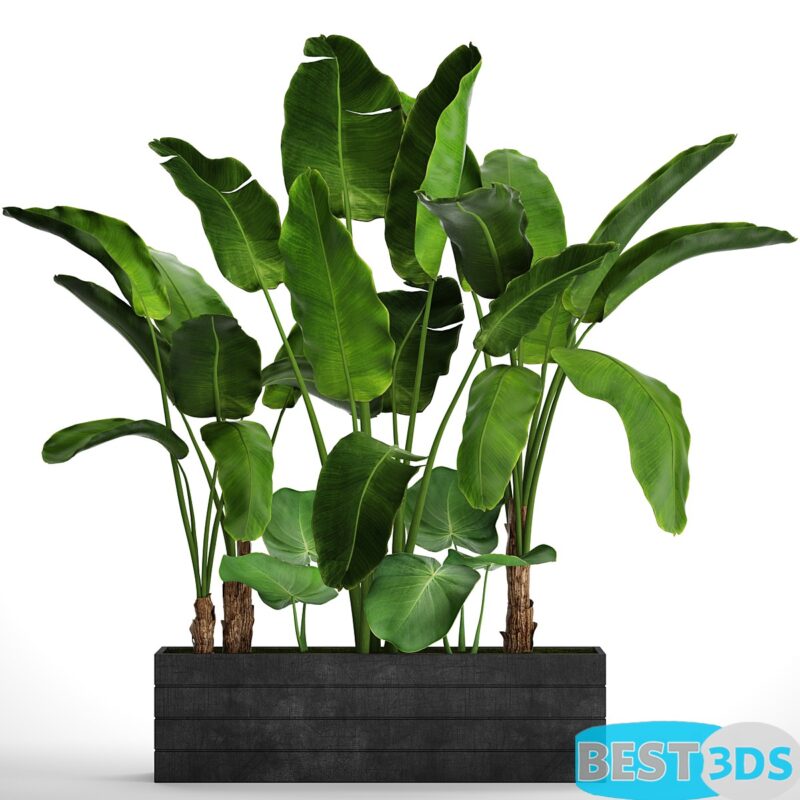 Modèle 3D de Collection of plants 73