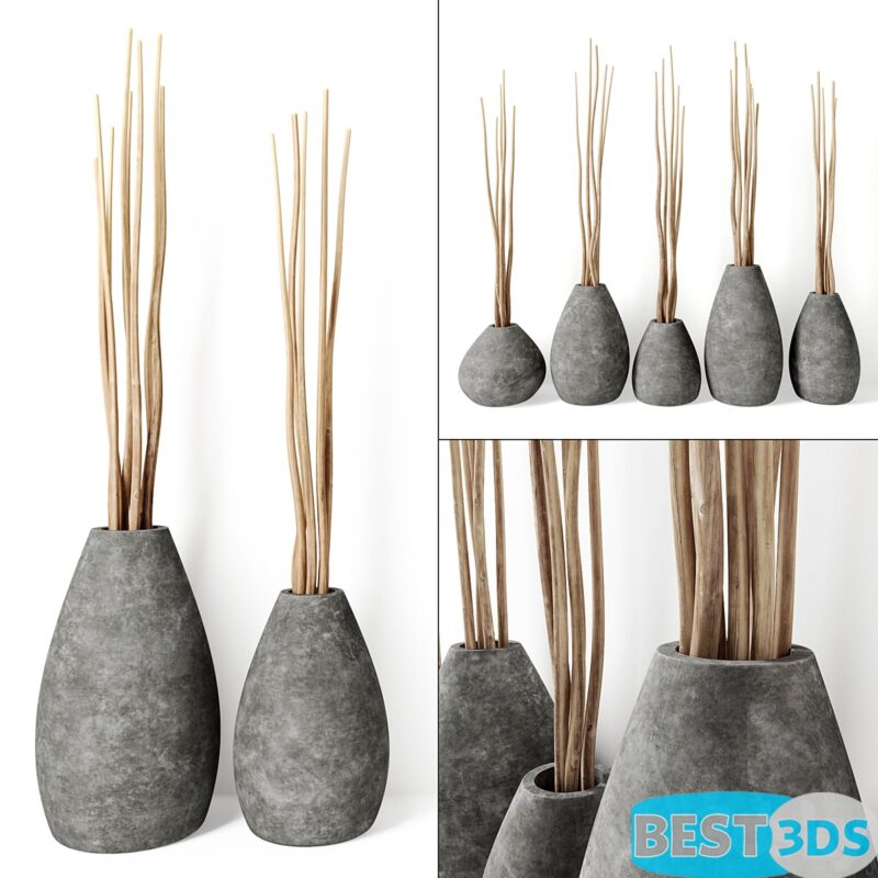 Vases en béton avec branches