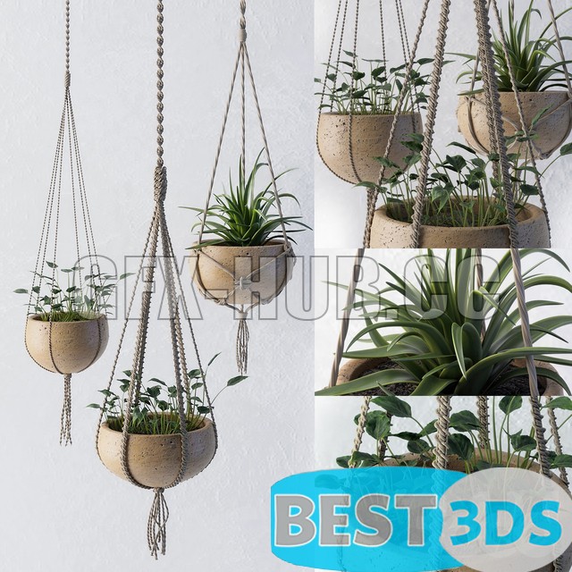 Modèle 3D de Decorative Set of flower Pots with plants