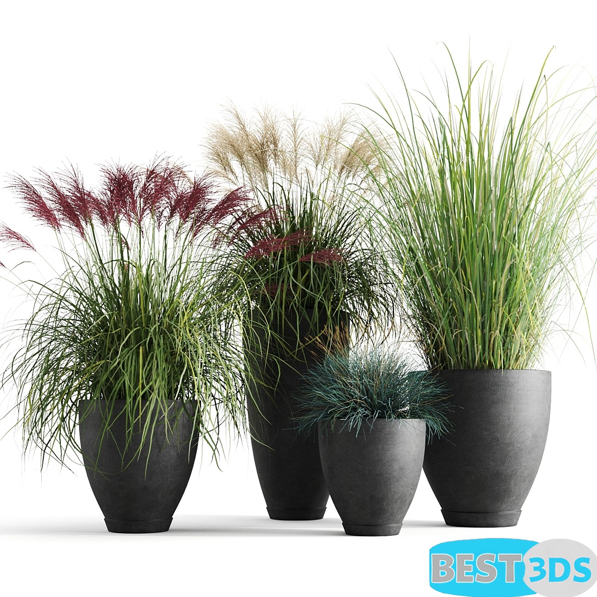 Modèle 3D de Decorative cereals in pots