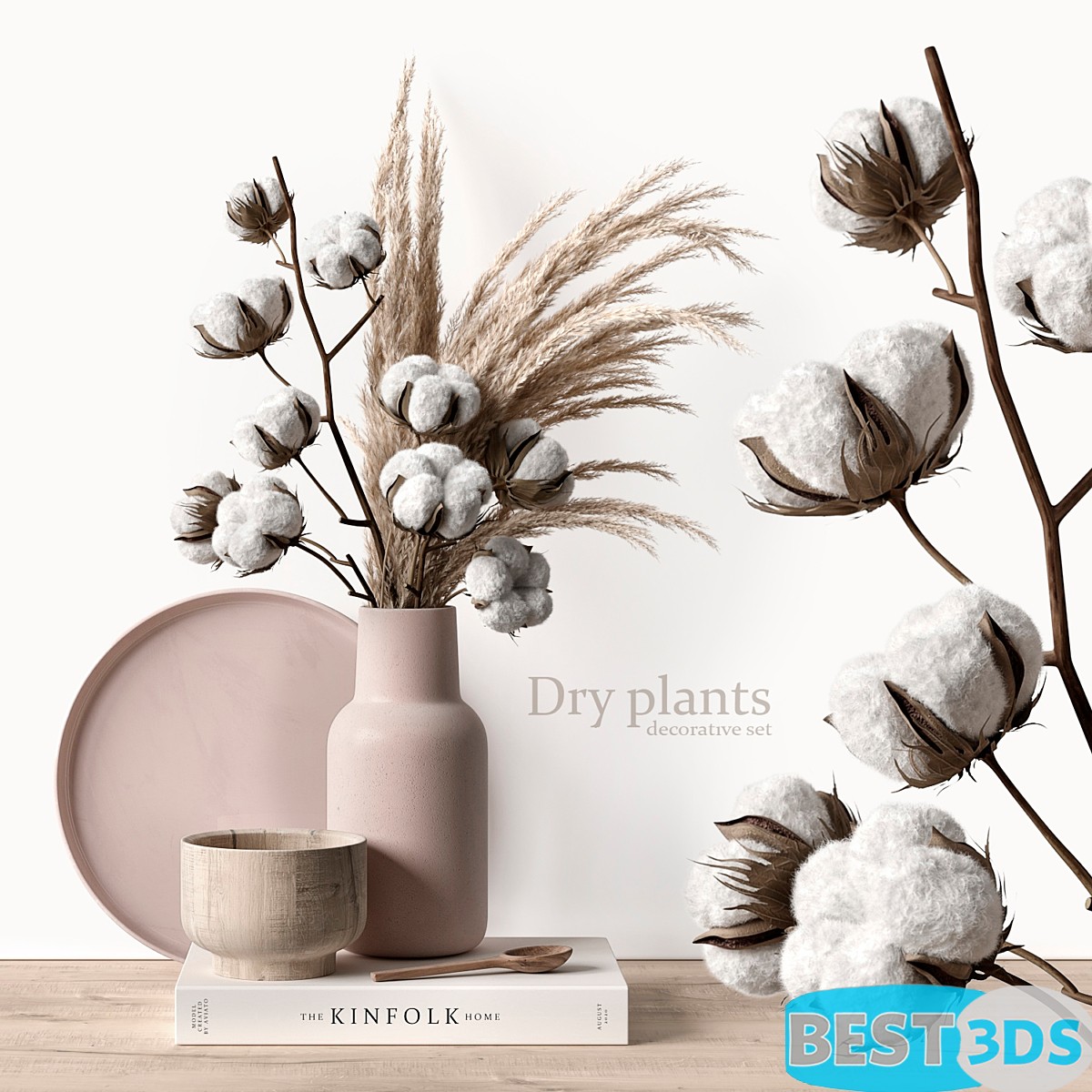 Plantes sèches & pampas
