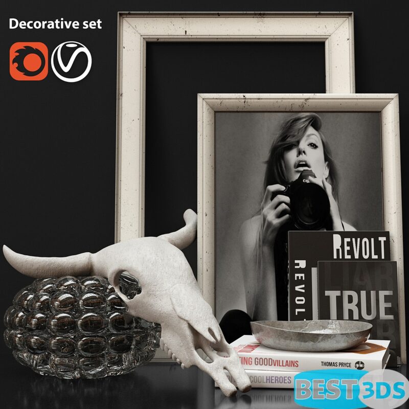 Décor livres & crâne artistique