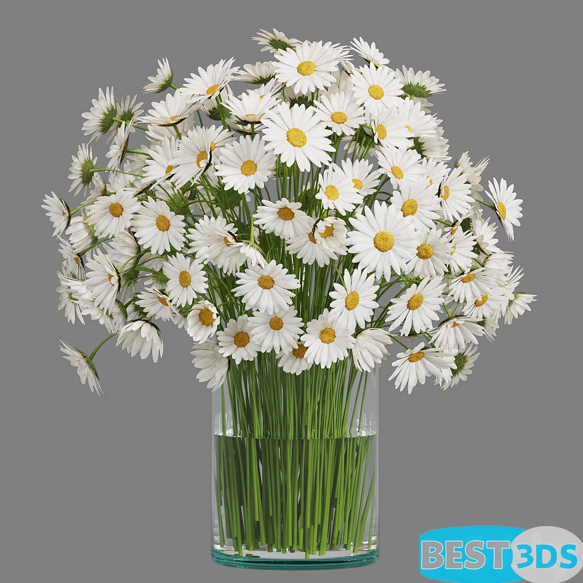 Pack model 3D- Vase – Image 76
