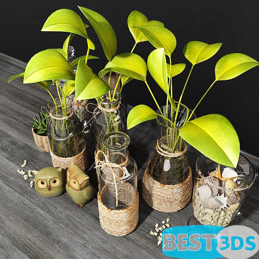 Pack model 3D- Vase – Image 69