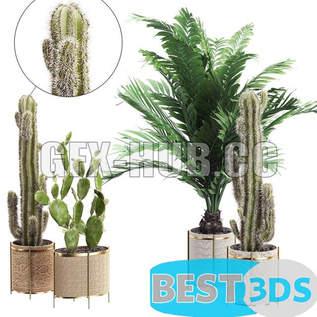 Modèle 3D de INTERIOR FLOWER PACK 20