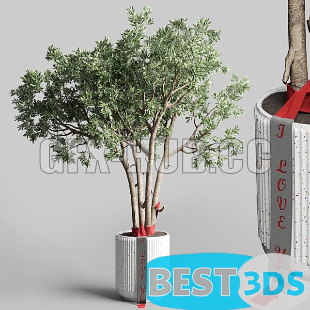 Modèle 3D de Indoor Outdoor Plant 111 Pot