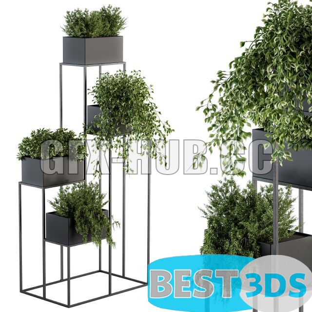 Modèle 3D de Indoor Plant Set 100 Black Stand
