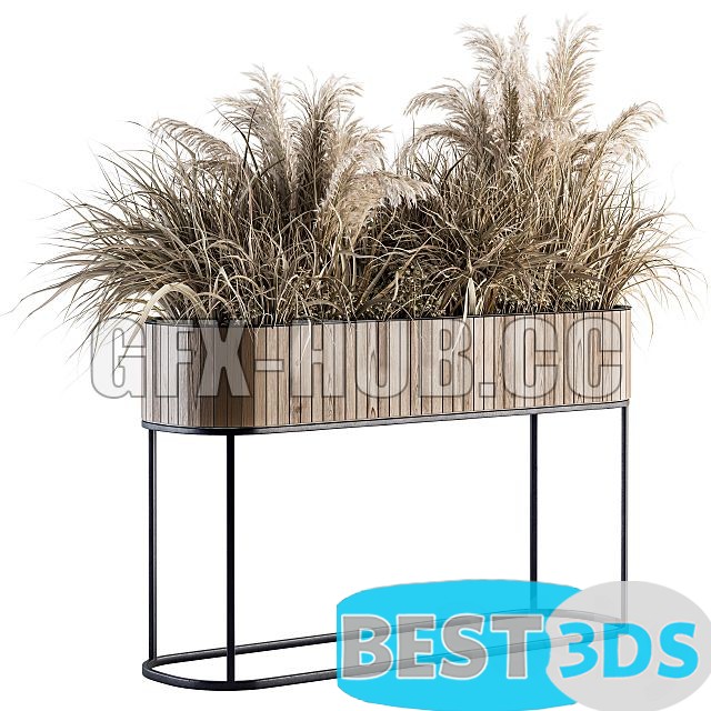 Modèle 3D de Indoor Plant Set 122 Dried Plants in Wood Stand