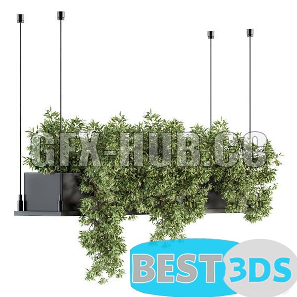 Modèle 3D de Indoor Plant Set 217 Hanging Plant Box 0