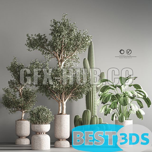 Modèle 3D de Indoor Plant Set 26