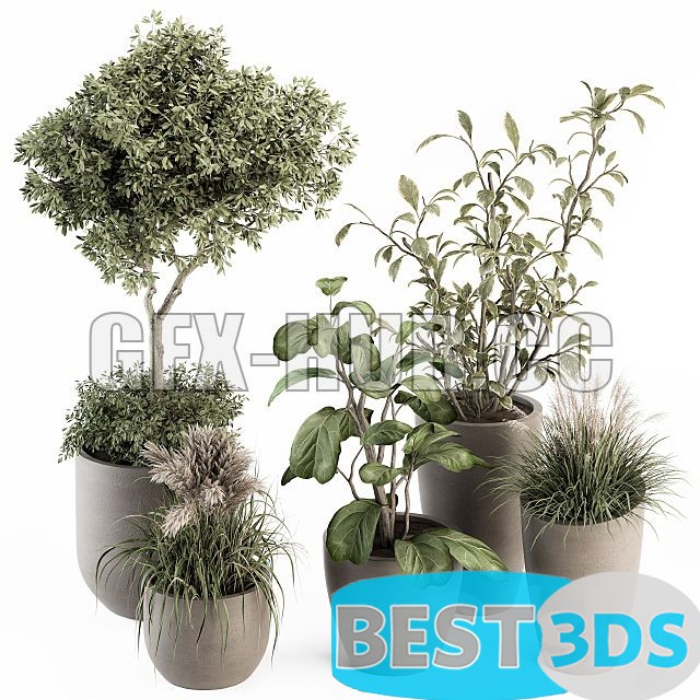 Modèle 3D de Indoor Plant Set 264
