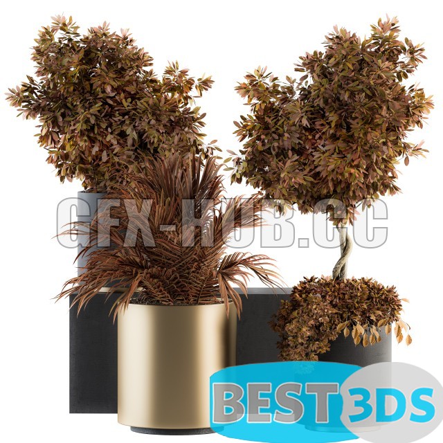 Modèle 3D de Indoor Plant Set 91