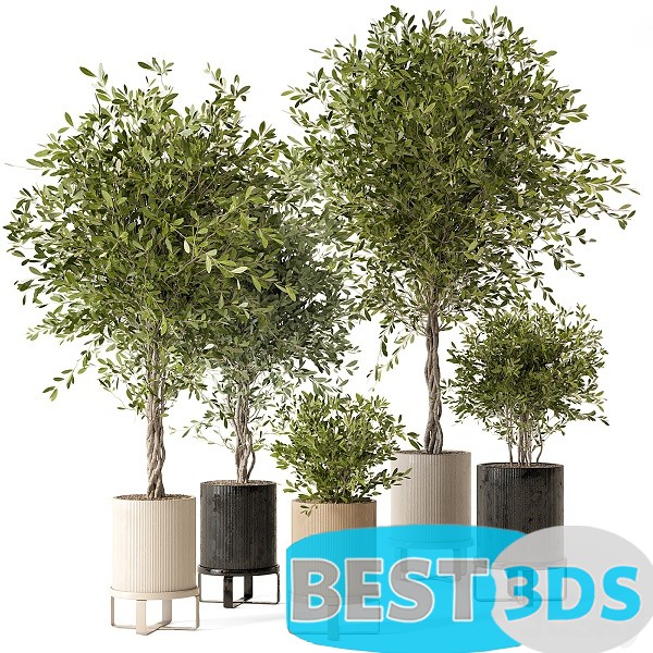 Modèle 3D de Indoor Plants in Ferm Living Bau Pot Large – Set 340