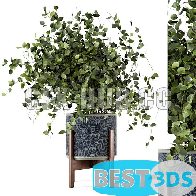 Modèle 3D de Indoor Plants in Rusty Concrete Pot Set 244 0