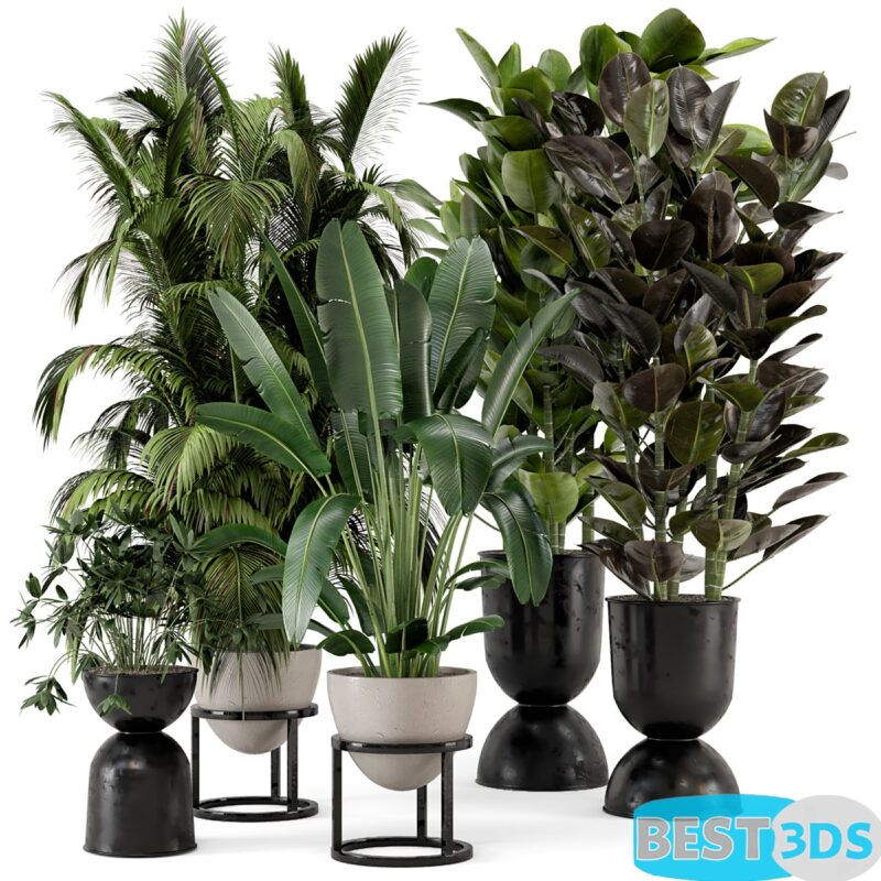 Modèle 3D de Indoor Plants in rusty Concrete Pot on Metal Shelf – Set 242