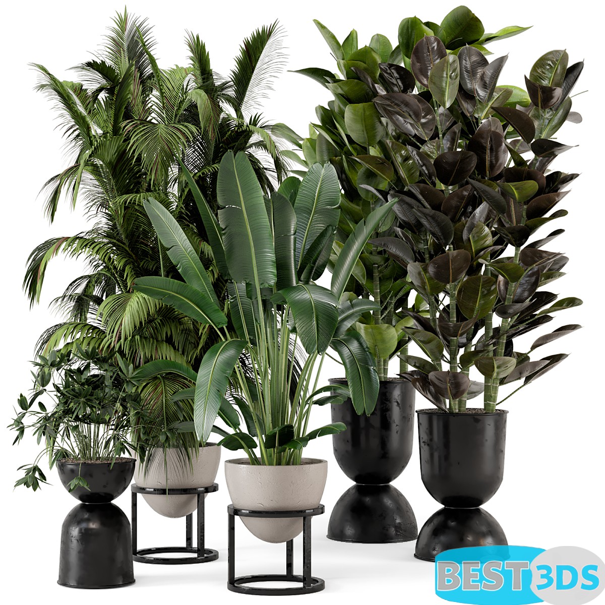 Modèle 3D de Indoor Plants in rusty Concrete Pot on Metal Shelf – Set 242