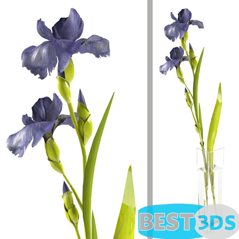 Pack model 3D- Vase – Image 65