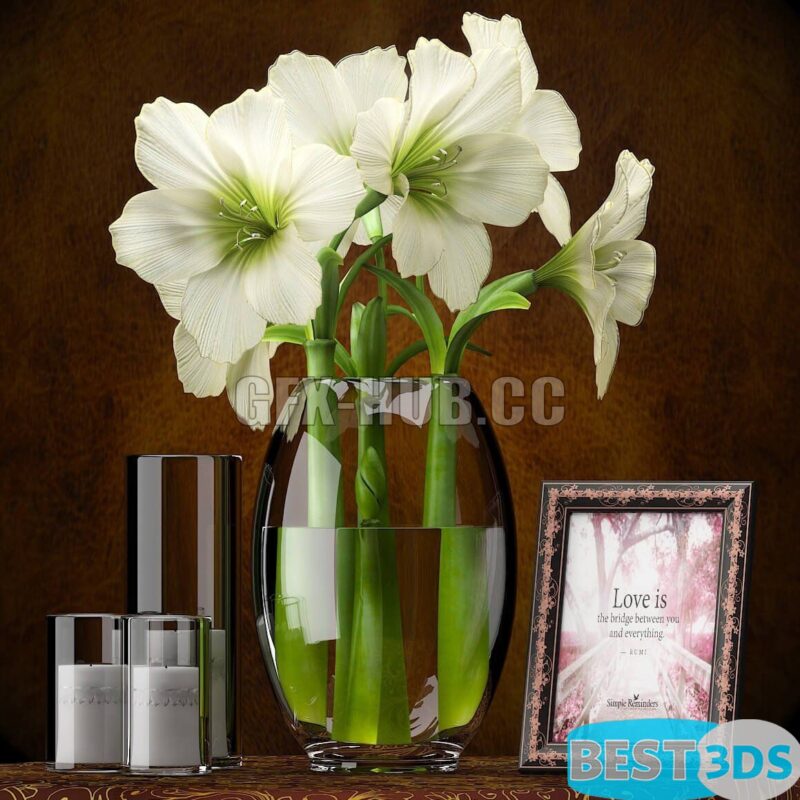 Composition d’amaryllis jaunes