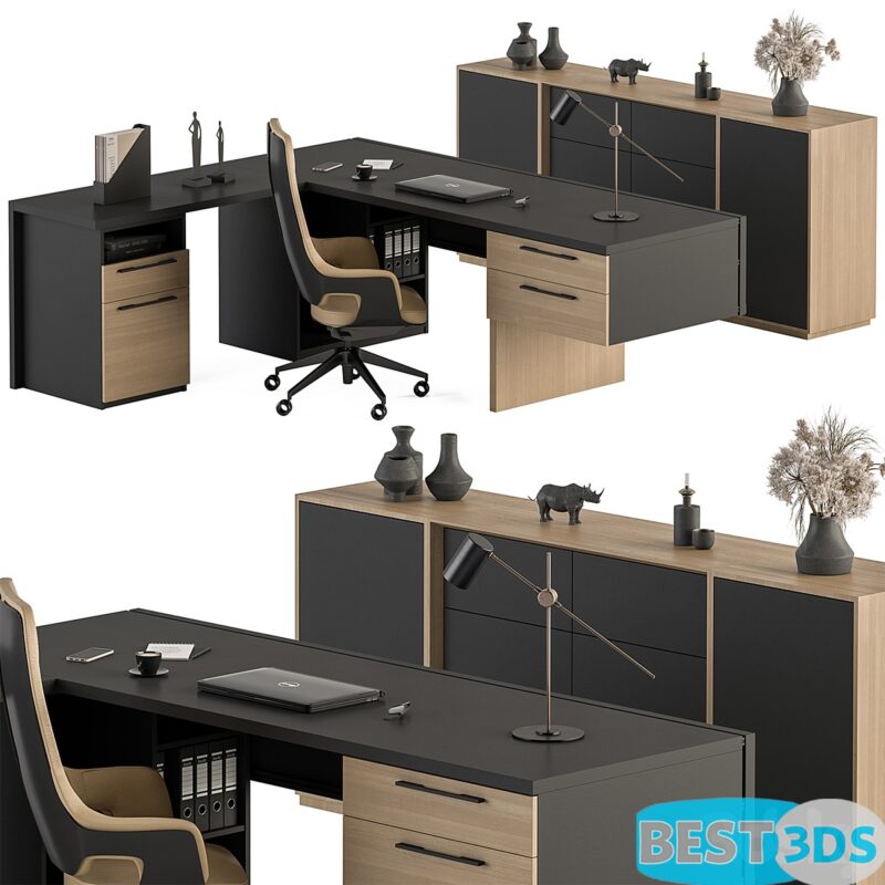 Bureau Manager 364